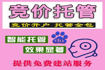 案例分享：竞价推广代运营助力企业拓展海外市场